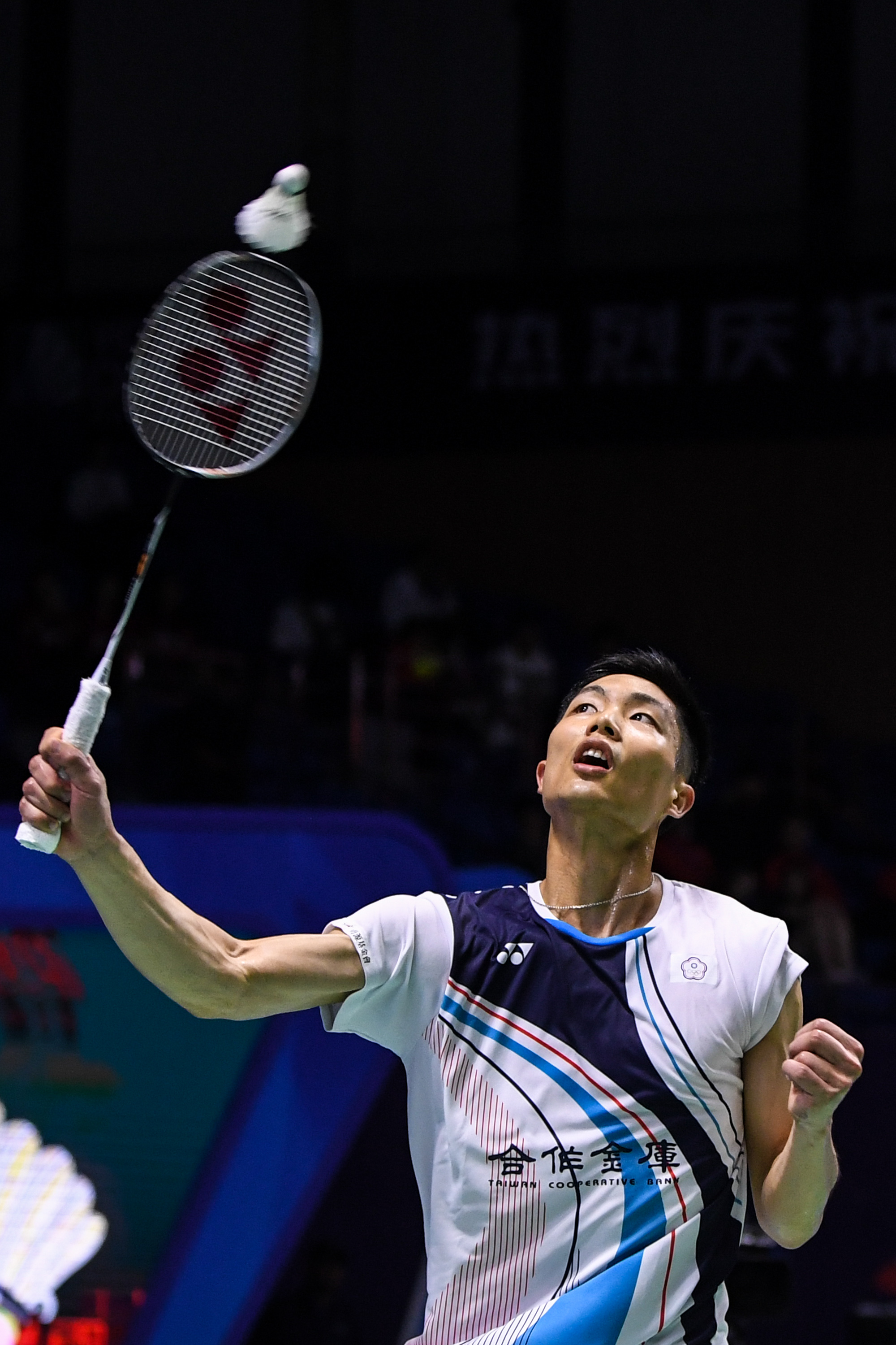 他们的问题 他们的问题